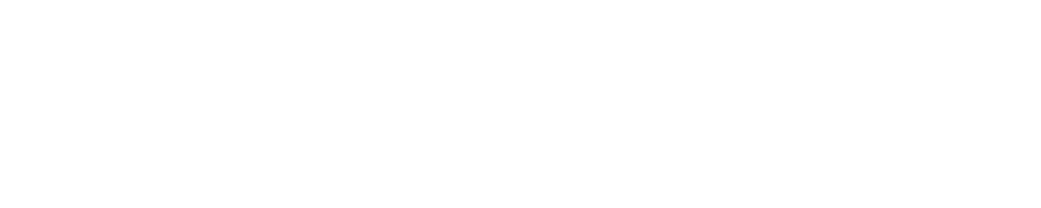 Digital Storytellers White